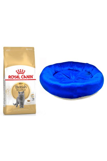 Royal Canin Yetiskin British Shorthair Kedi Mamasi 4 Kg Kedi Simit Yatagi Trendyol