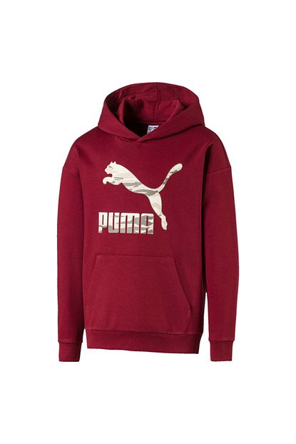 Puma Kids Street Wear Logo Kapusonlu Cocuk Sweatshirt Trendyol