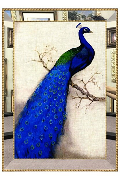 tavsiye duzen havalandirma tavuskusu ceket erkek mavi paysage drillet com