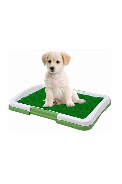 Hayatinizi Kolaylastirin Kopek Tuvalet Egitim Seti Potty Trainer Trendyol