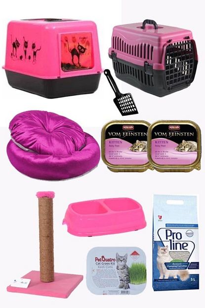 Enzoo Kedi Baslangic 10 Lu Paket Pembe Trendyol