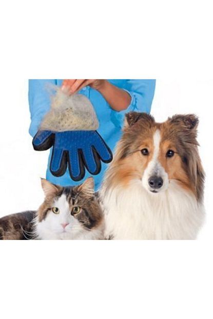 True Kedi Kopek Tuy Toplayici Trendyol