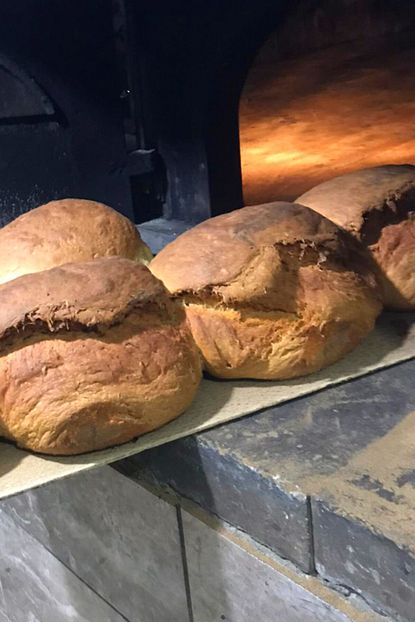 Gumushaneden Kurtun Arakoy Ekmegi 3 Kg Eksi Mayali Ekmek Trendyol