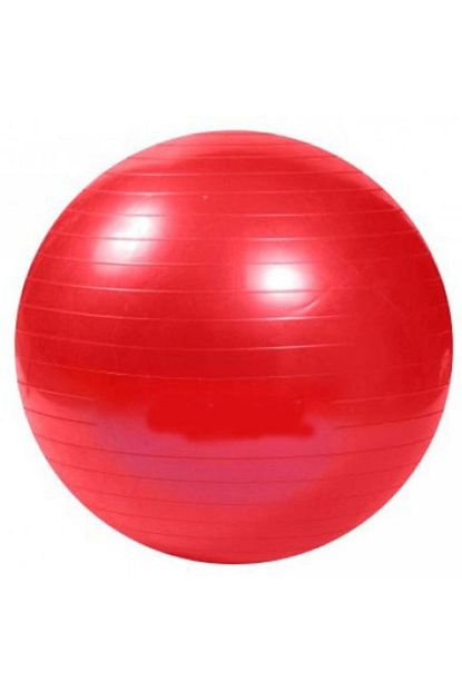 Cansport Can Sport 65 Cm Pompa Hediyeli Pilates Topu Trendyol