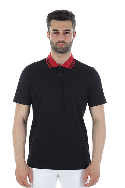 Diandor Polo Yaka Erkek Tisort V195 1817400 Trendyol
