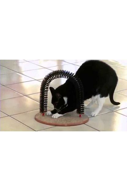 Pembe Karinca Kedi Tirmalama Ve Kasinma Tahtasi Trendyol