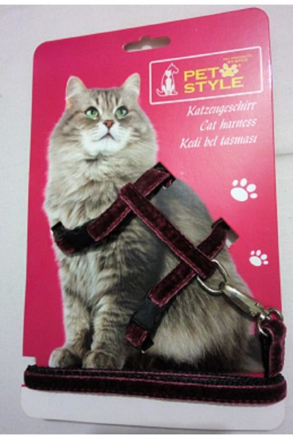 Pet Style Kedi Bordo Bel Gogus Tasmasi Kadife Trendyol