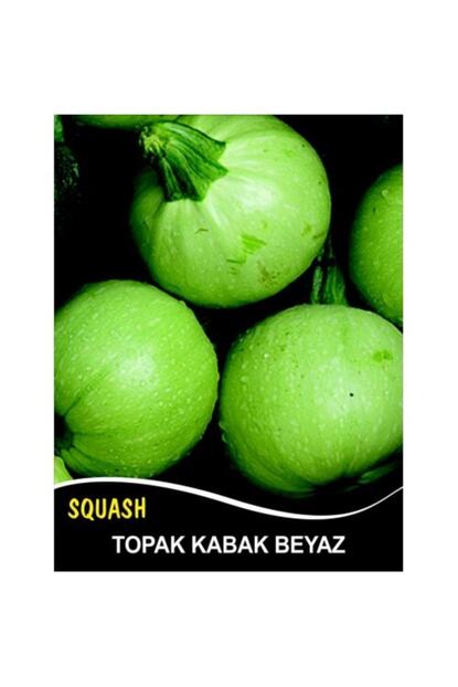 Euro Seed Kabak Tohumu Topak Bomba Beyaz 3 G Takribi 15 Tohum Trendyol
