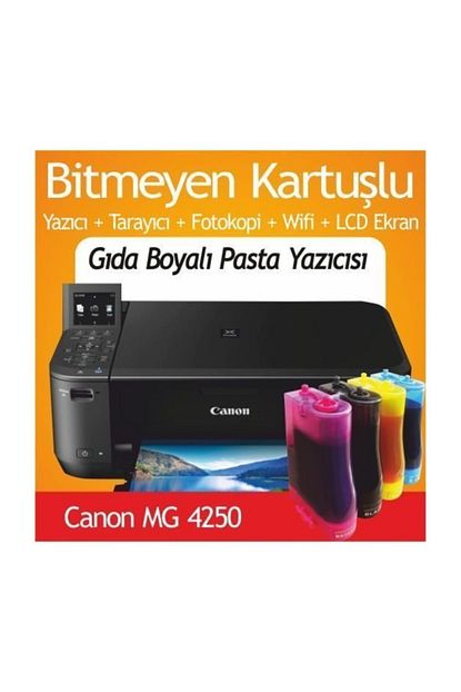 canon mg 4250 ve bitmeyen kartus
