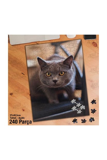 Asilmeydan Asil Hobi Gri Kahverengi Gozlu Sevimli Kedi Yapboz Ayak Destekli 240 Parca Puzzle Trendyol