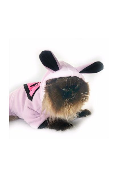 Pembe Yunus Kedi Tulumu Kedi Kiyafeti