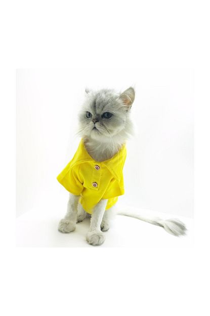 Kemique Sari Polo Yaka Tisort Kedi Kiyafeti Kedi Elbisesi 2xlarge 5 5 7 Kg Trendyol