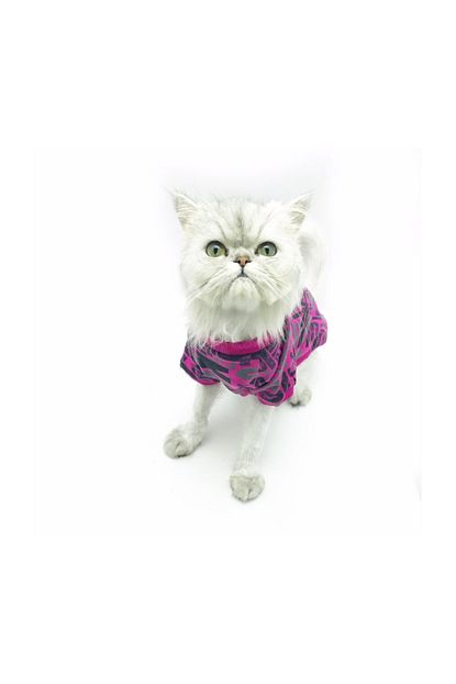 Kemique Pink Letters Oval Yaka Tisort Kedi Kiyafeti Kedi Elbisesi Medium 2 2 5 Kg Trendyol