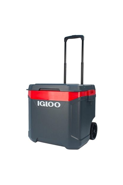 igloo 60 qt ice cube tekerlekli buzluk