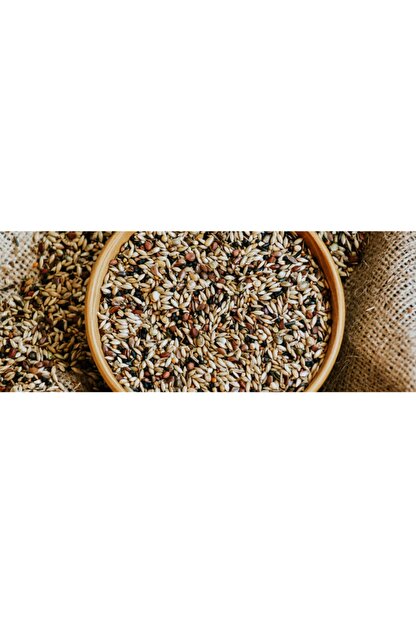 iksir prof doga kusu saka florya finch yemi 1 kg fiyati yorumlari trendyol