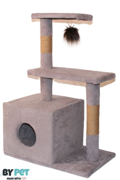 kedi evli kedi tirmalama ve keyif kosku