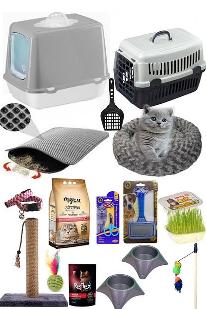https www trendyol com pet style kedi baslangic 15 li paket p 79657275