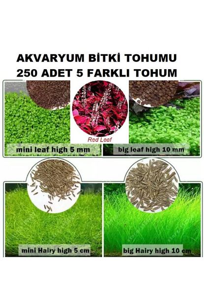 trendyol