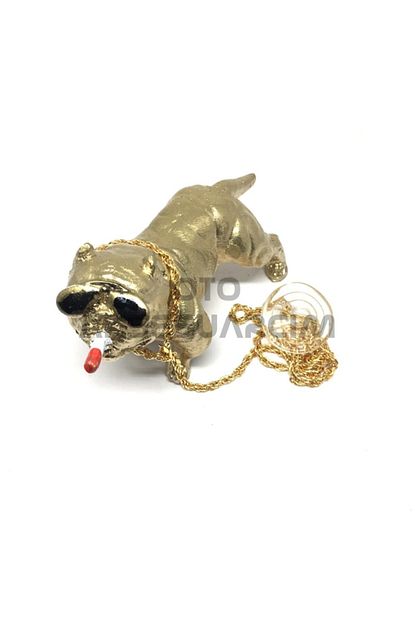 pitbull biblo kopek torpido ustu arac ici araba susu gold