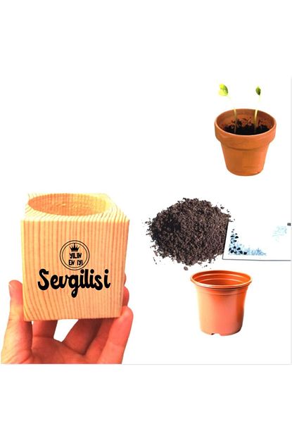trendyol