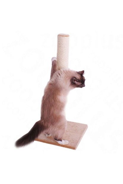 zooplus olga kedi tirmalama tahtasi