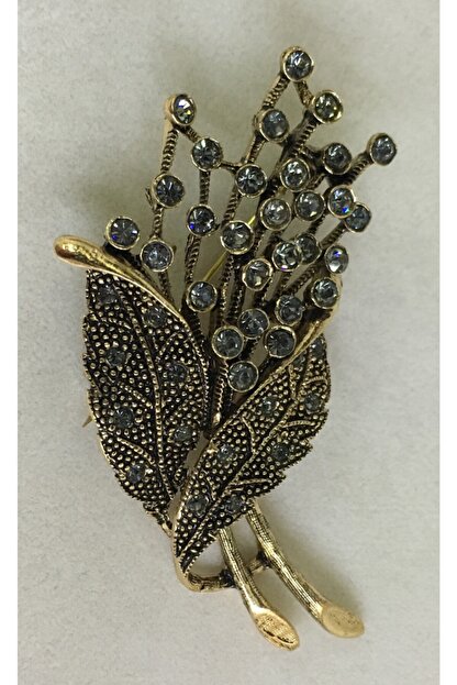 Asina Gumus Kadin Altin Buket Swarovski Tasli Elmas Montur Yaka Ignesi Bros Fiyati Yorumlari Trendyol