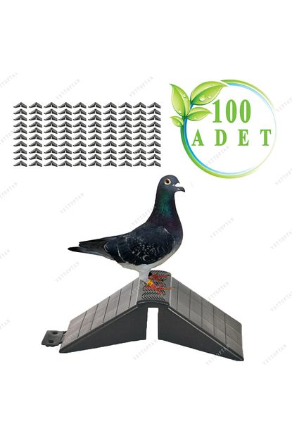 eastland tunek guvercin bekar tunegi 100 adet plastik kus pigeon yuva yuvalik kumes ekipman yuvalik malzeme fiyati yorumlari trendyol