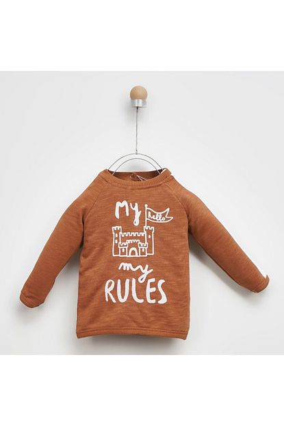 Panco Erkek Bebek Sweatshirt 21bb Fiyati Yorumlari Trendyol