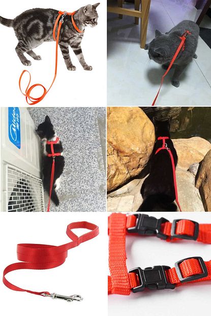 Keyfi Sepet Ayarlanabilir Kedi Tasmasi 120 Cm Trendyol
