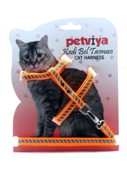 Petviya Reflektorlu Yansiticili Ve Cizgi Seritli Kedi Gogus Bel Tasmasi Turuncu Trendyol
