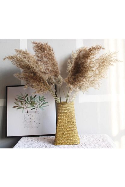 Asenya Pampas Otu 10 Adet Dogal Pampas Vazo Otu Kuru Cicek 100 Cm Trendyol