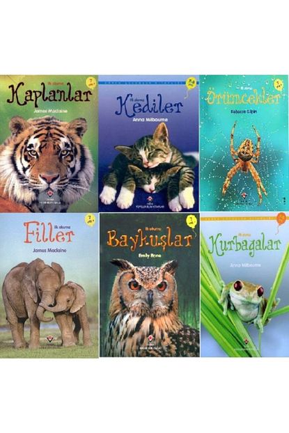 Tubitak Yayinlari Ilk Okuma Bilim Kitaplari Kaplanlar Filler Kediler Baykuslar Orumcekler Kurbagalar 6 Parca Kitap Set Trendyol