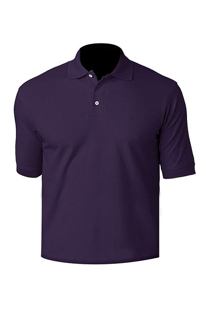 Igs Erkek Mor Modern Fit Polo Yaka T Shirt Trendyol