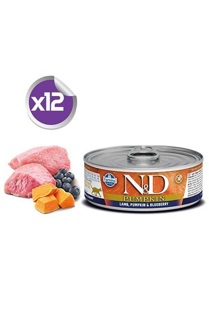 N D Nd Balkabakli Tahilsiz Kuzulu Yaban Mersinli Yetiskin Kedi Konservesi 80 Gr X12 Trendyol