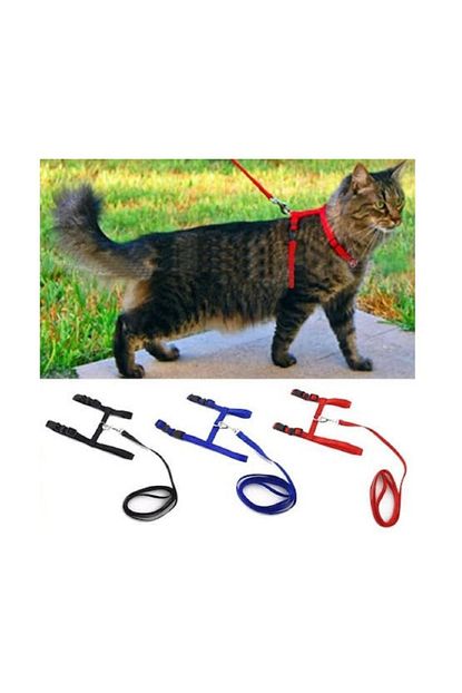 Eminhome Ayarlanabilir Kedi Tasmasi Trendyol
