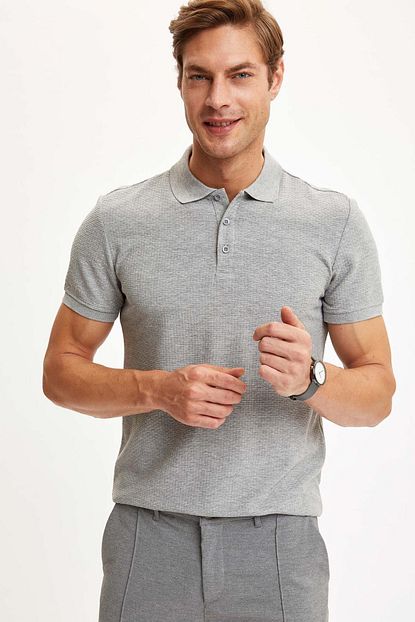 Defacto Erkek Gri Regular Fit Polo Yaka Tisort S5947az20hs Trendyol