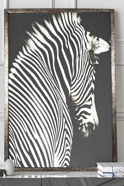 vivense zebra gumus deri uzerine