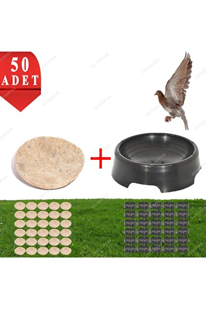 mutlu tavukculuk folluk 50 adet 50 adet kece guvercin kare guvercin follugu ve kecesi yumurtalik pigeon yuvalik kumes fiyati yorumlari trendyol