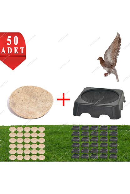 mutlu tavukculuk folluk 50 adet 50 adet kece guvercin oval guvercin follugu ve kecesi yumurtalik urfa hatay guvercini fiyati yorumlari trendyol