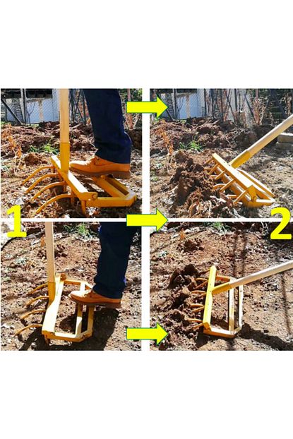 sari kostebek belmatik sari kostebek