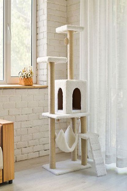 palace kedi evi ve tirmalama