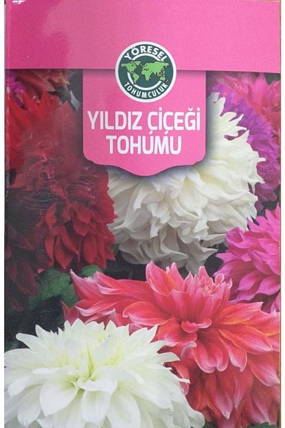 yildiz cicegi tohumu yalova yoresel tohumculuk