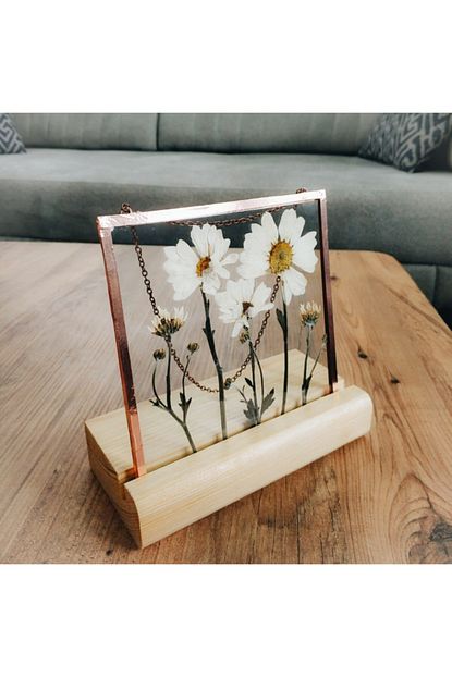 Story Of Plants Dekoratif Gercek Papatyalardan Yapilmis Masa Ustu Cercevesi Trendyol