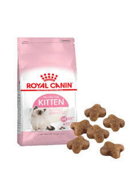 Royal Canin Kitten36 Yavru Kedi Mamasi 2 Kg Trendyol