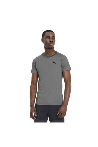 Puma Erkek Gri T Shirt Trendyol