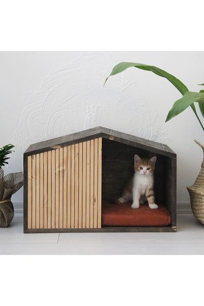 Bubo Decor Masif Ahsap Kedi Evi Iki Renk Boyali Minderli Trendyol