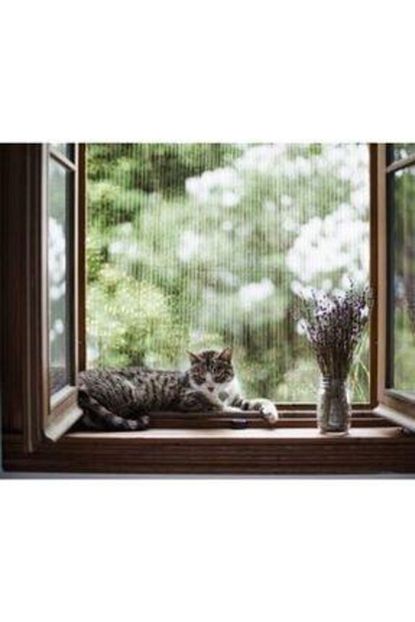 kedi guvenlik sinekligi 0 cm 73 cm x 0 cm 150 cm