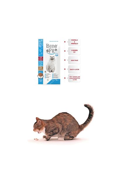 enjoy cat food benefit yetiskin kedi