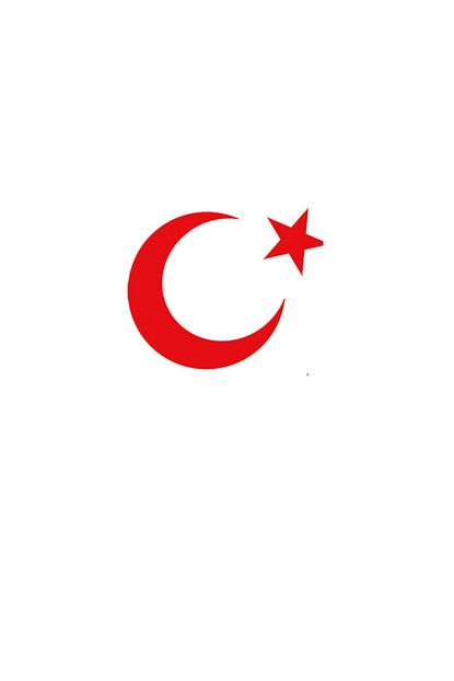 papyonmedya ayyildiz kirmizi sticker
