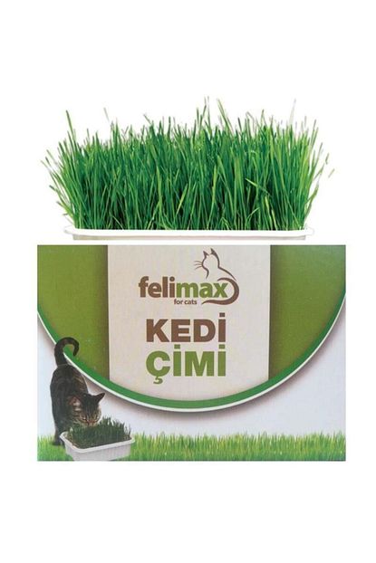 trendyol